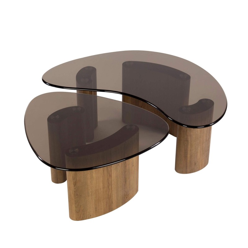 Table de salon forme organique avec plateau en verre (lot de 2) - Tinto