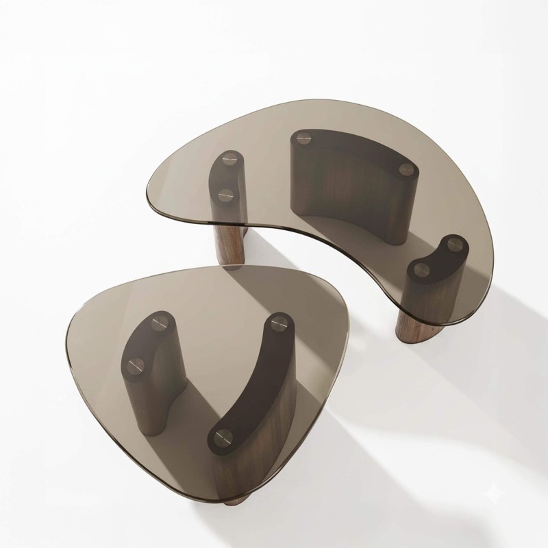 Table de salon forme organique avec plateau en verre (lot de 2) - Tinto