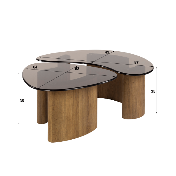 Table de salon forme organique avec plateau en verre (lot de 2) - Tinto