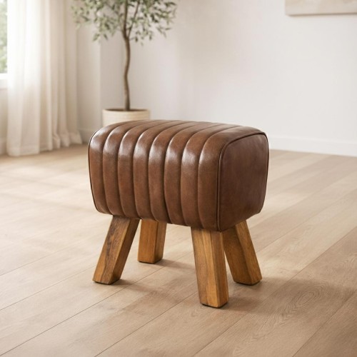 Cheval d'arçon cuir - You