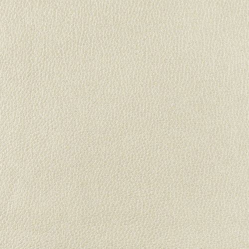 Échantillon de tissu Nube - Vanille Diaphane - 10 x 10 cm