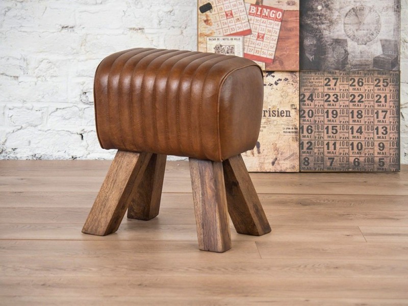 Cheval d’arçon cuir YOU