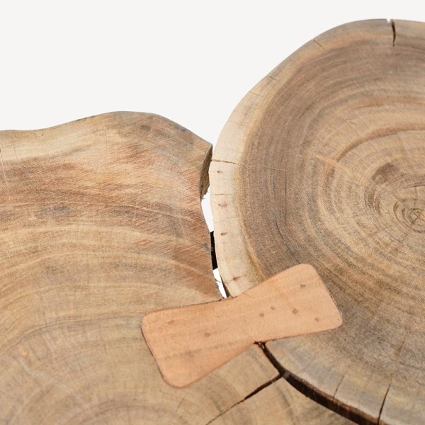 Table basse en tronc d'accacia et pieds en métal